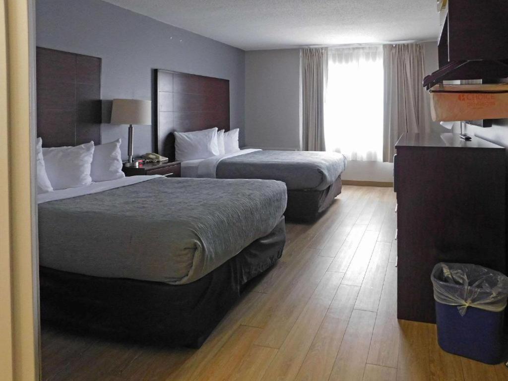 Quality Inn Colchester - Burlington Dış mekan fotoğraf