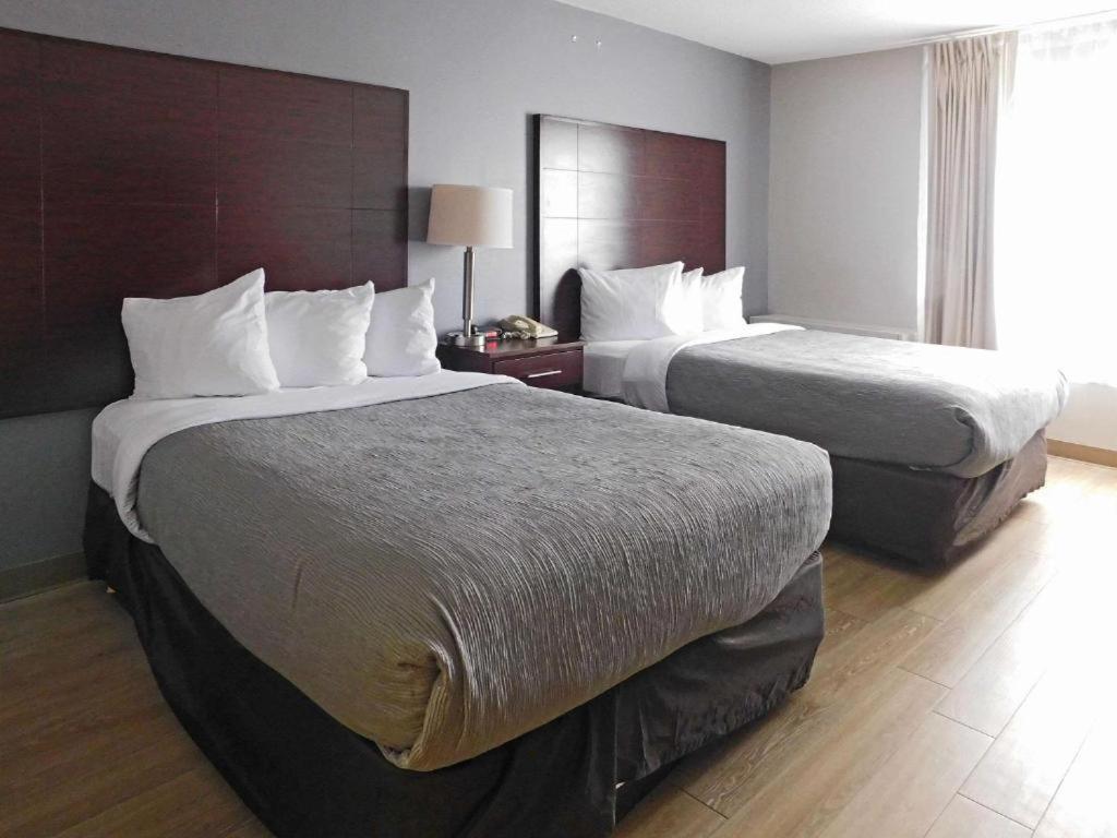 Quality Inn Colchester - Burlington Dış mekan fotoğraf